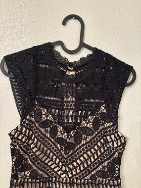 Francesca's Collections Black Lace Overlay Mini Dress with Blush Lining